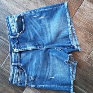 Judy Blue denim shorts